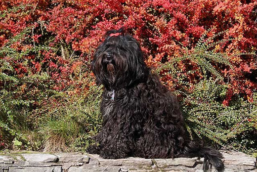 Kar-mi im Herbst 2012