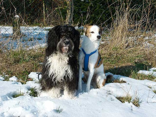 Enya und ihre kleine Freundin