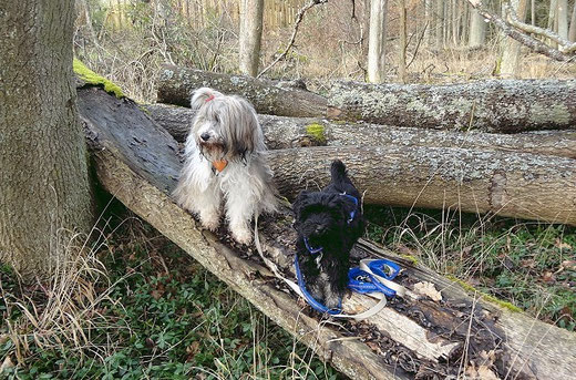 Milka und Yeshi