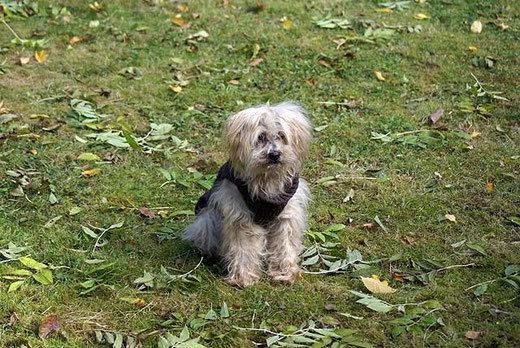 Indra - 17Jahre und 5 Monate alt