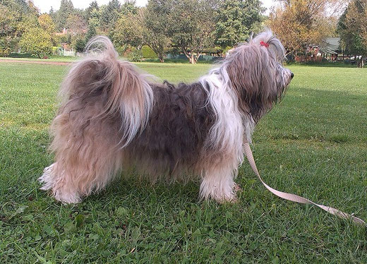 Milka 7.10.2013