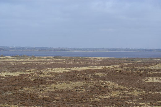 Filsø