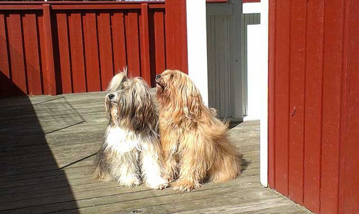 Bya-ra und Milka am Hauseingang