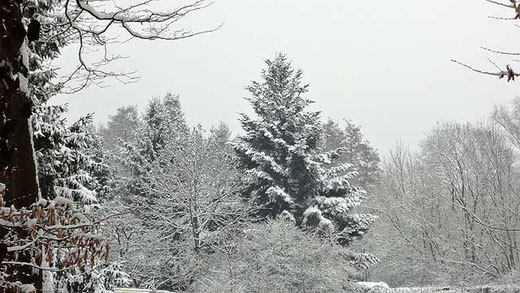 Schnee im März 2013