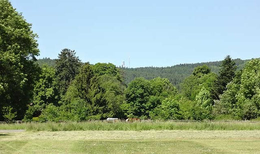 Blick zum Taunus