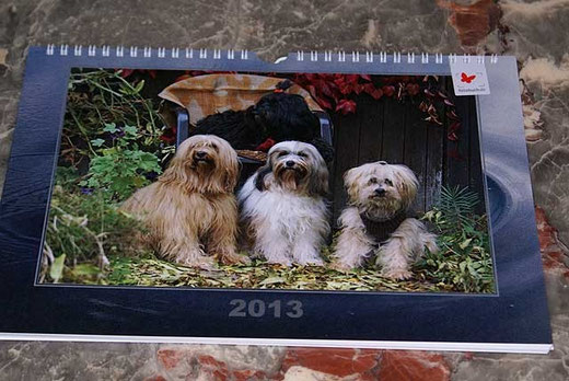 Tibet-Terrier-Kalender 2013