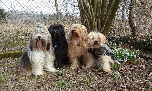 Milka, Kar-mi, Bya-ra und Indra
