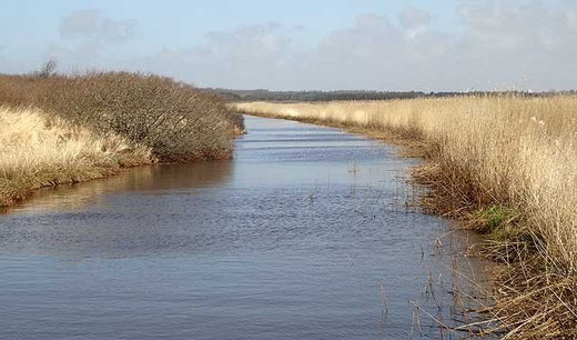 Am Filsø