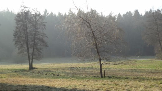 Impressionen