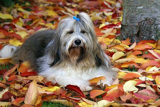 Milka im Oktober 2012