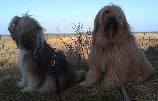 Milka und Bya-ra