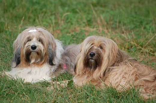 Berta und Bu-laa