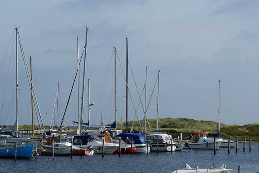 Hou Havn