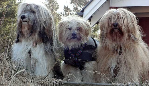 Milka, Indra und Bya-ra