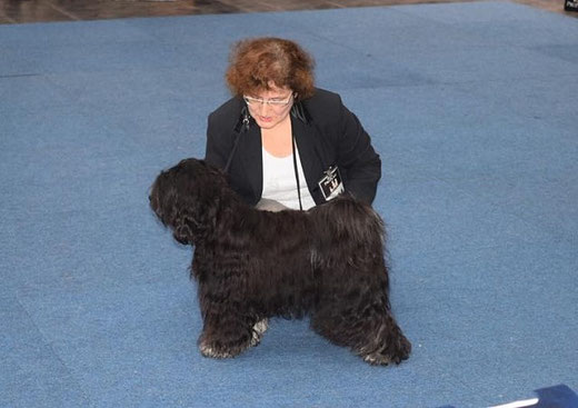 Yeshi mit Frauchen Gabi auf der CACIB in Hannover 2015