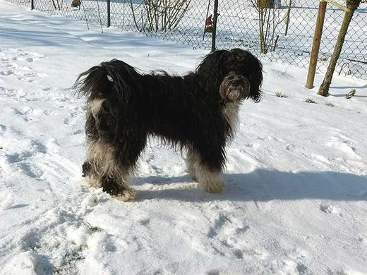 Enya im Schnee