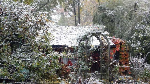 Unser Garten: Schnee im Oktober 2012