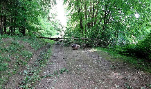 Nach dem Sturm