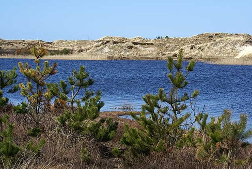 Grærup Sø