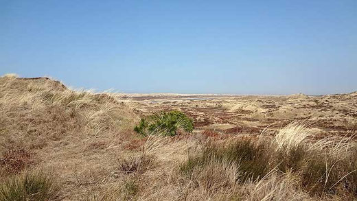 Nyminde Plantage