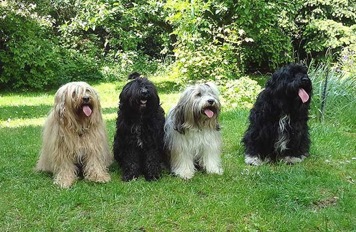 Bya-ra, Kar-mi, Milka und Bommel
