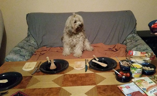 Fiona ist bereit. Wo bleibt das Essen?
