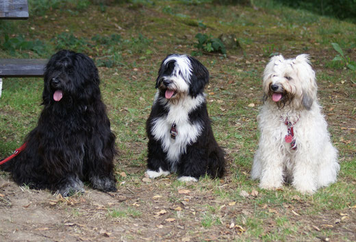 Yeshi, Lisha und Fiona in Breitenau 2015