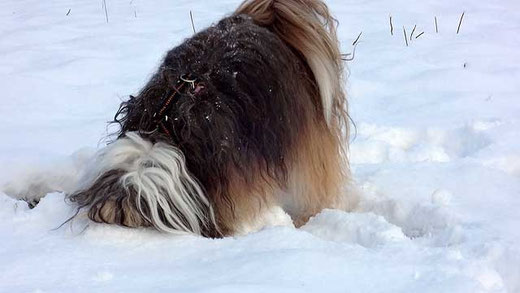 Praktischer Schneeschieber