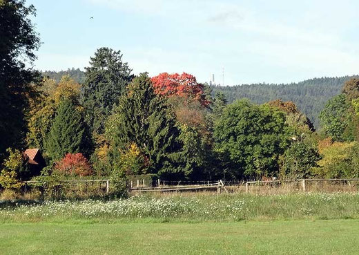 Feldberg-Blick