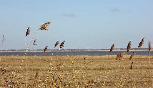 Blick von der Terrasse zur Bucht
