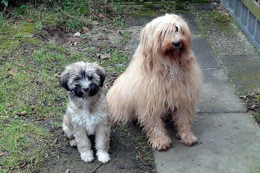 Fiona (12 Wochen alt) und Bya-ra (10 Jahre alt)