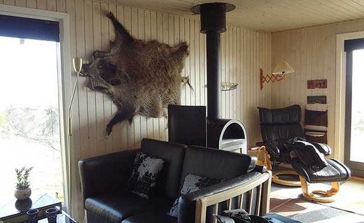 Wohnzimmer mit Ofen und an der Wand ein Wildschweinfell