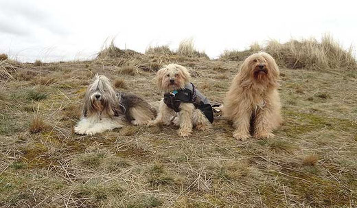 Milka, Indra und Bya-ra