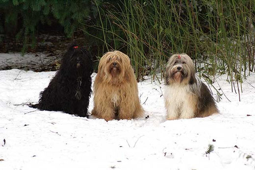Kar-mi, Bya-ra und Milka