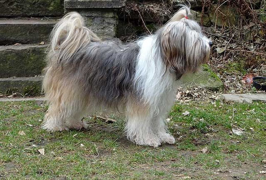 Milka