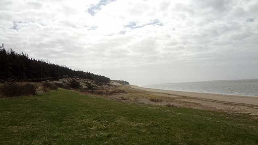 Strand an der Marbæk Plantage