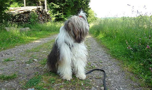 Milka