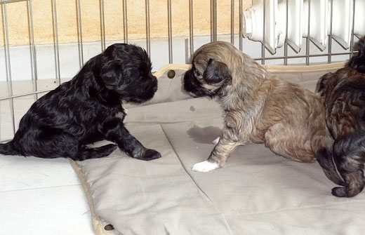 Yeshi und Fiona im Zwiegespräch