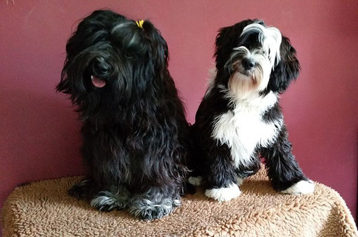 Dreamteam - Yeshi und Lisha