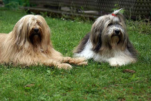 Bya-ra und Milka im Garten