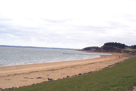 Am Strand von Hjerting