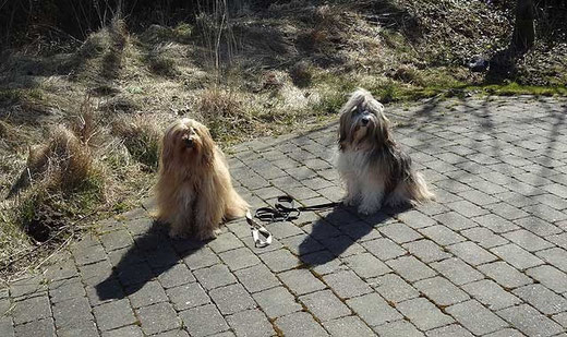 Erste Begehung der Terrasse