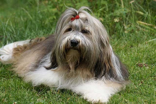 Madame "Milka"