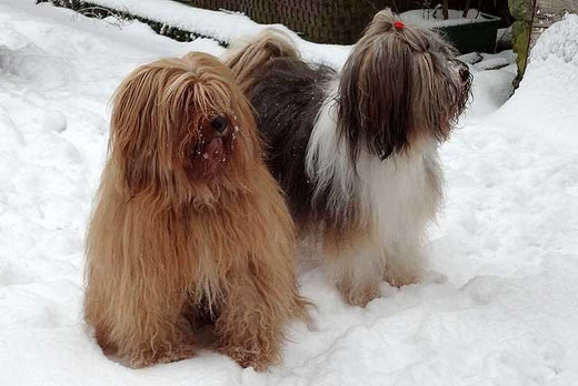 Bya-ra und Milka