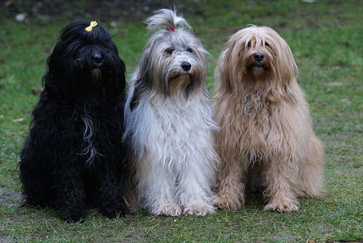 Kar-mi, Milka und Bya-ra 