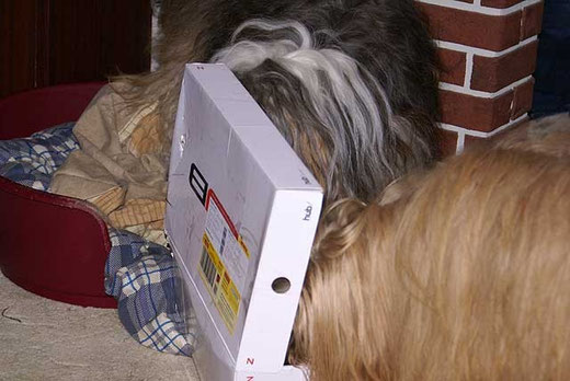 Was da wohl drin ist?