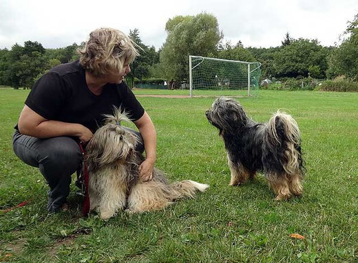 Renate Kästner mit Milka und Brisgo