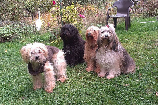 Indra, Kar-mi, Bya-ra und Milka
