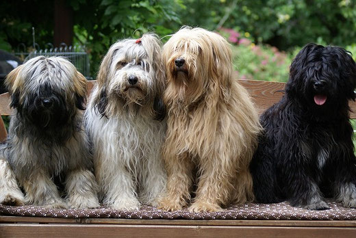 Mon-sha, Milka, Bya-ra und Yeshi