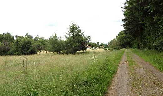 Unsere Gassi-Runde